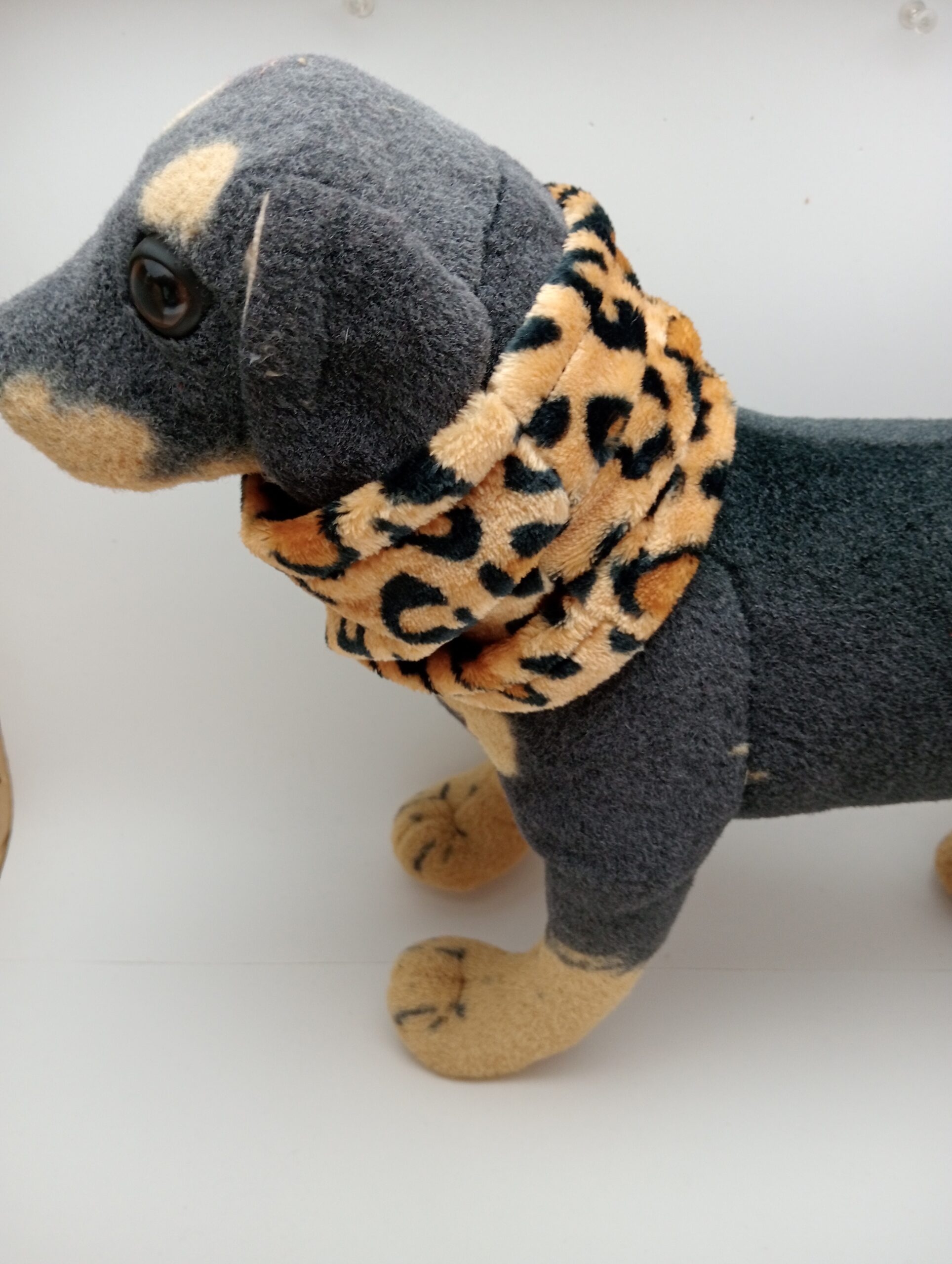 Cuello de Coralina - Estampado Leopardo - Imagen 3